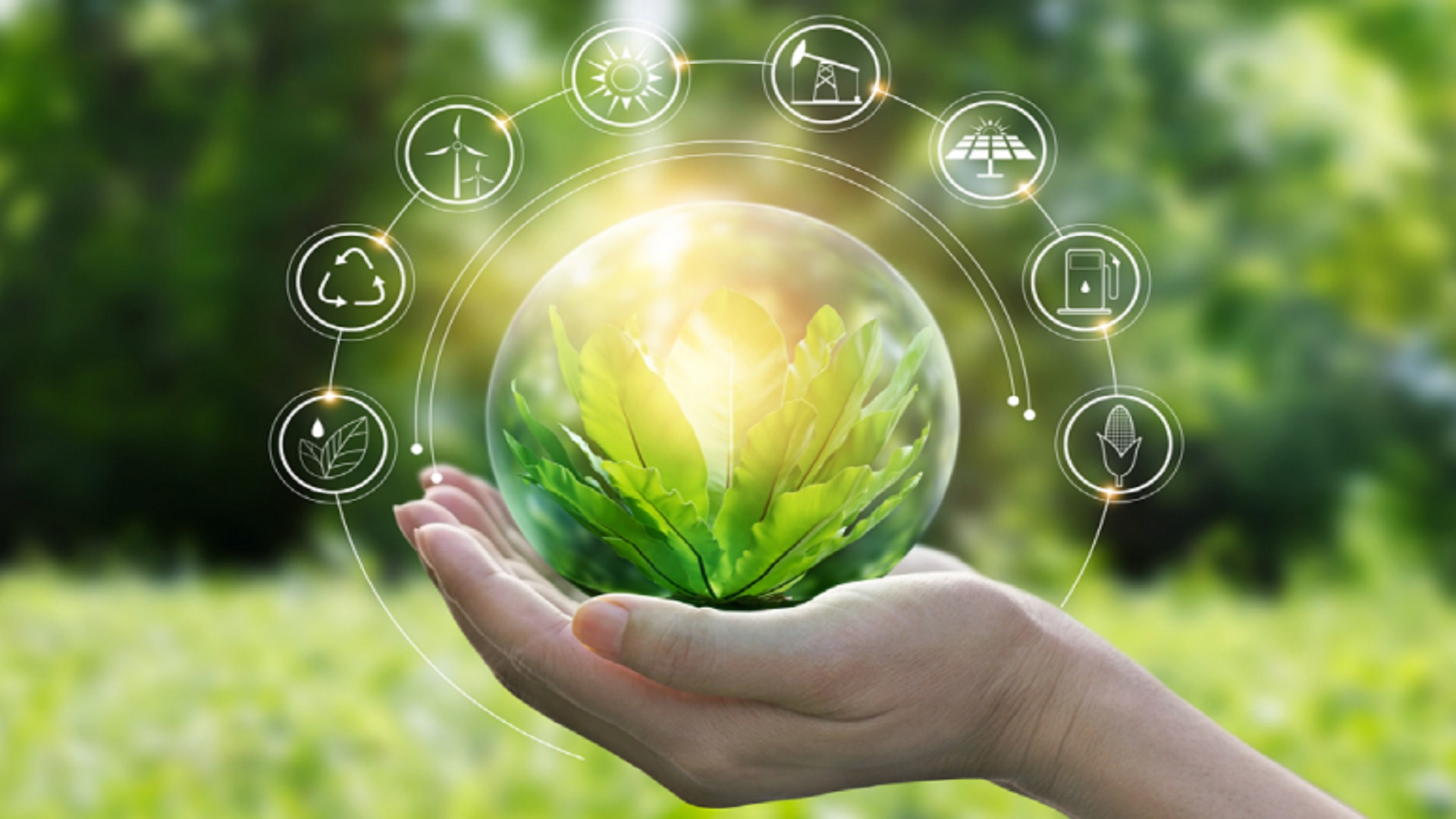 Green Initiatives